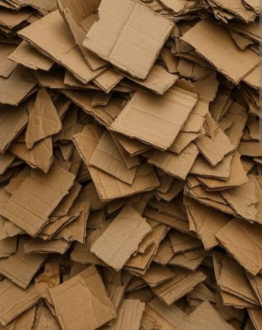 Cardboard